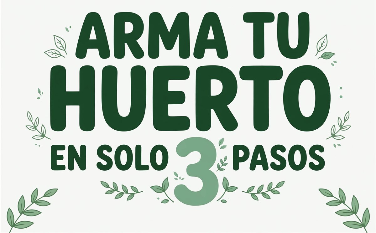 Arma tu huerto en solo 3 pasos